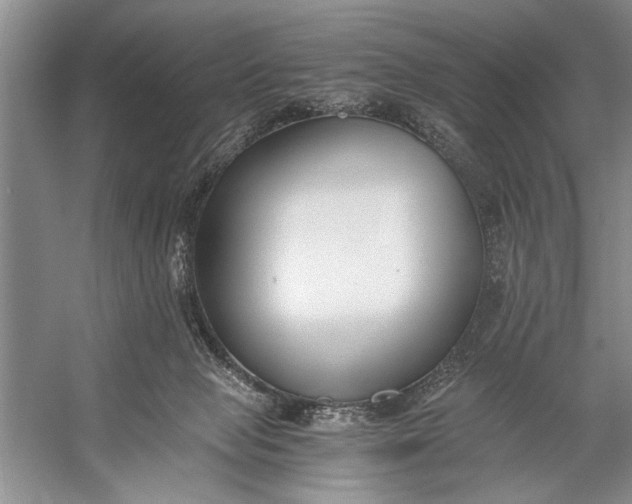 X0000056360077200509161839