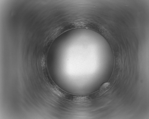 X0000056360081200509161839