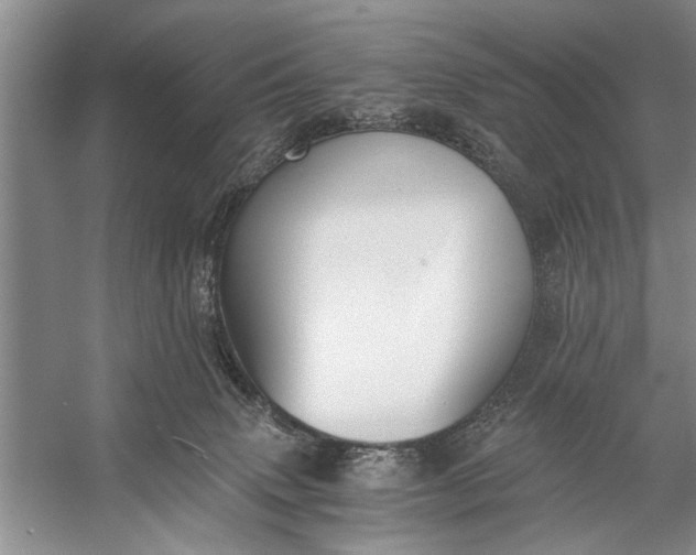 X0000056360083200509161839