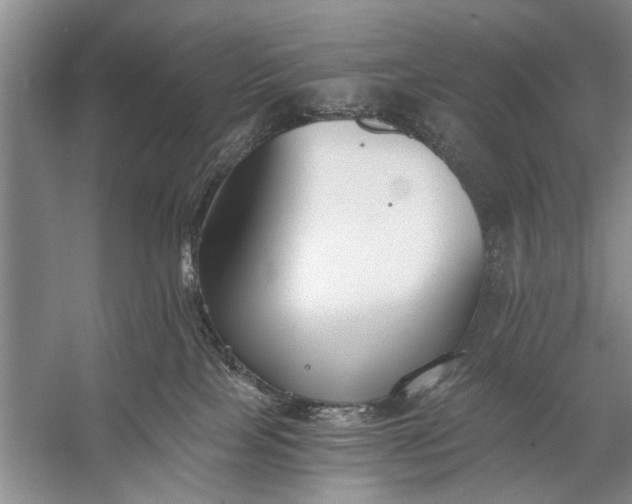 X0000056360089200509161839