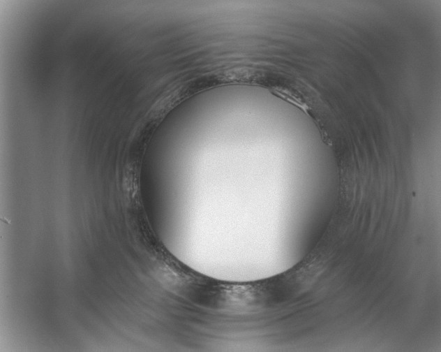 X0000056360091200509161839