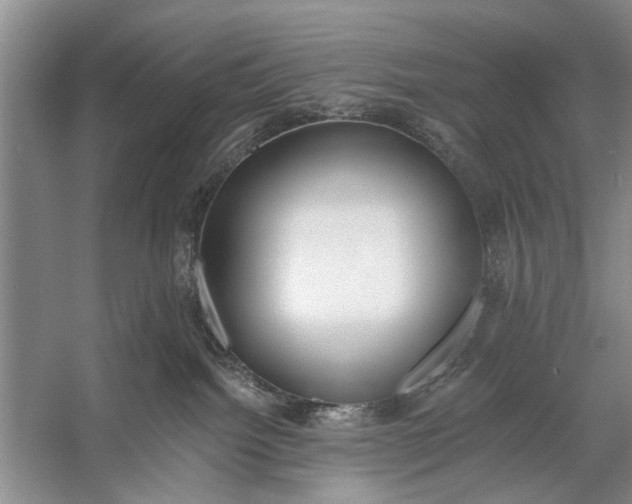 X0000056360092200509161839