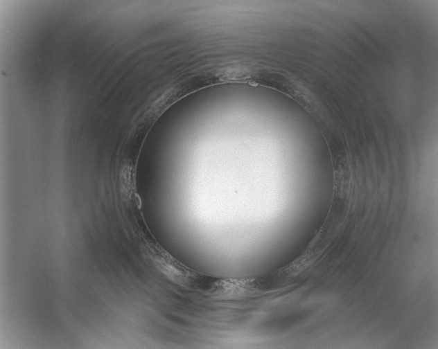 X0000056360093200509161839