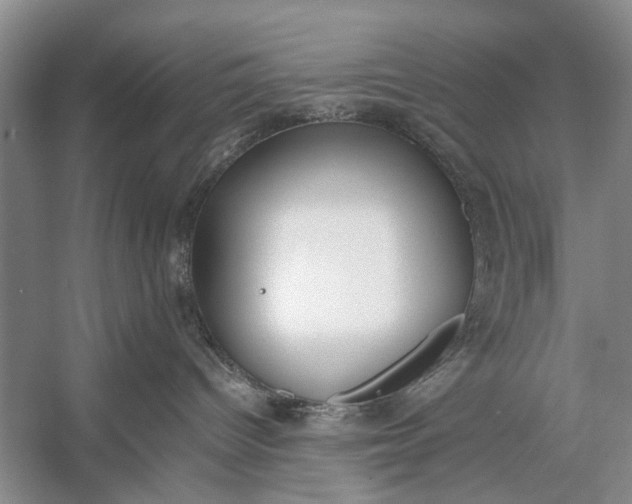 X0000056360096200509161839