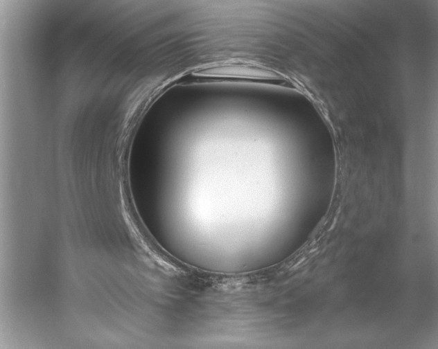 X0000056360097200509161839