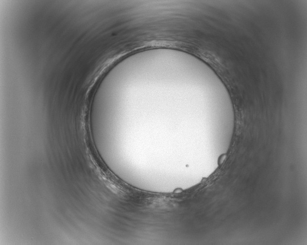 X0000056360098200509161839