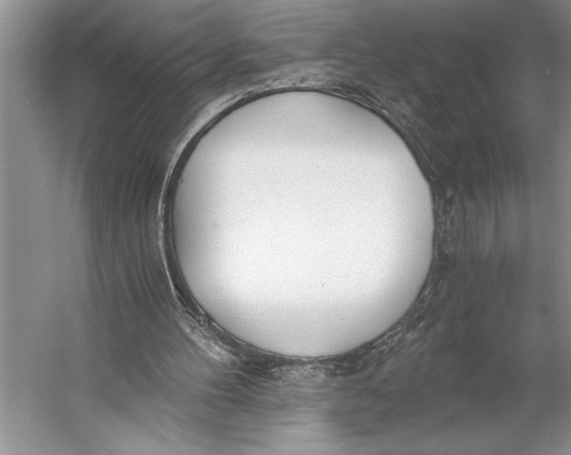 X0000056360100200509161839