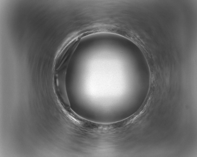 X0000056360101200509161839