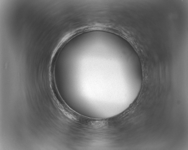 X0000056360102200509161839