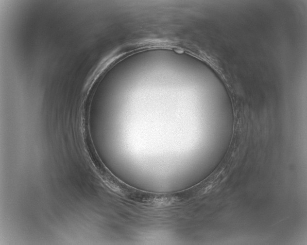 X0000056360103200509161839