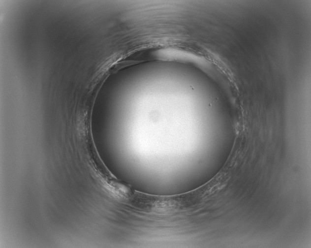 X0000056360105200509161838