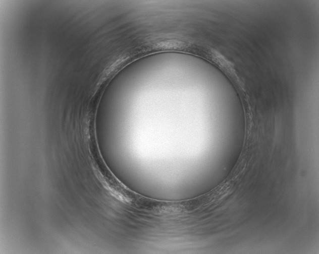 X0000056360106200509161838