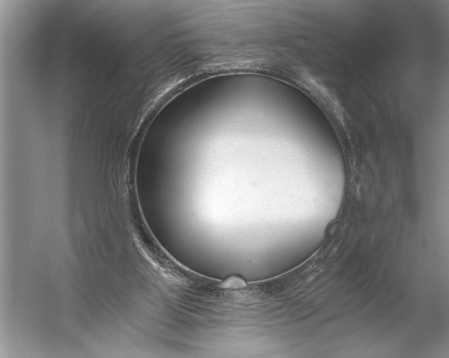 X0000056360107200509161838