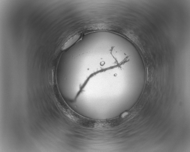 X0000056360109200509161838