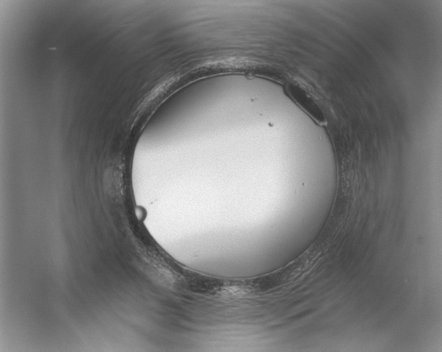 X0000056360111200509161838