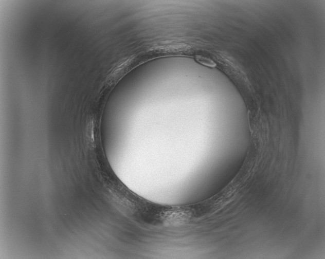 X0000056360115200509161838