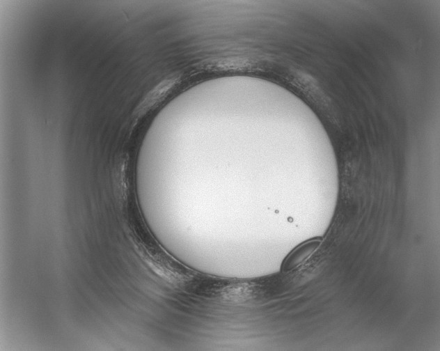 X0000056360116200509161838