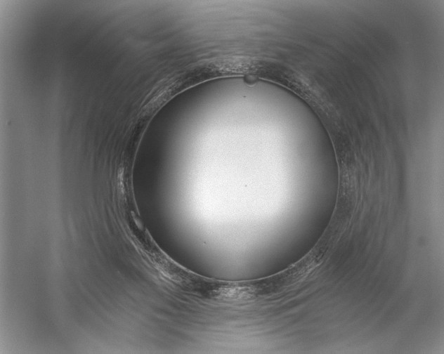 X0000056360117200509161838