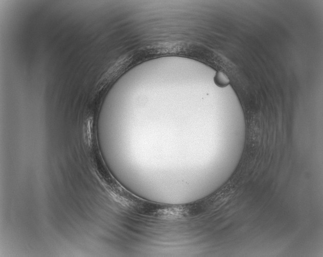 X0000056360118200509161838