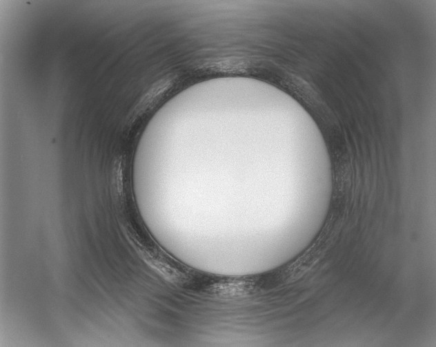 X0000056360120200509161838