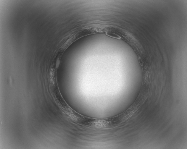 X0000056360121200509161838