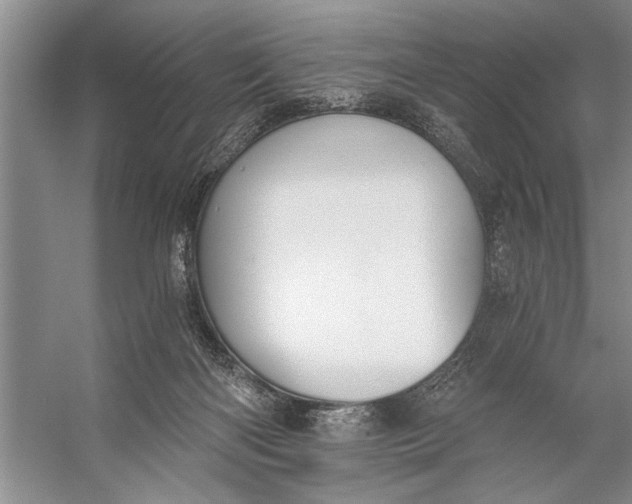 X0000056360122200509161838