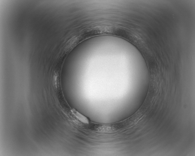 X0000056360123200509161838