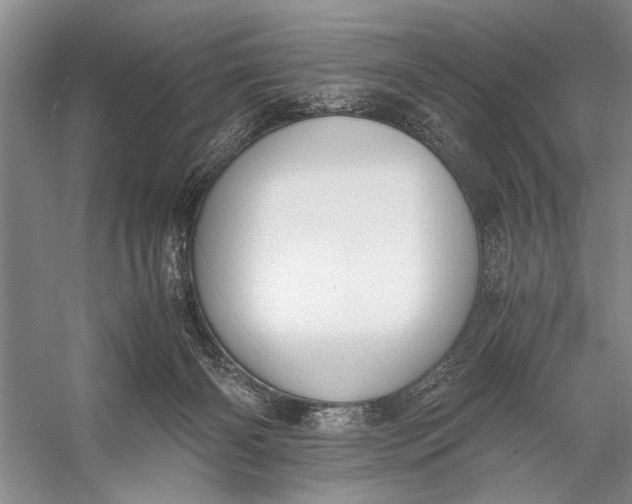 X0000056360126200509161838