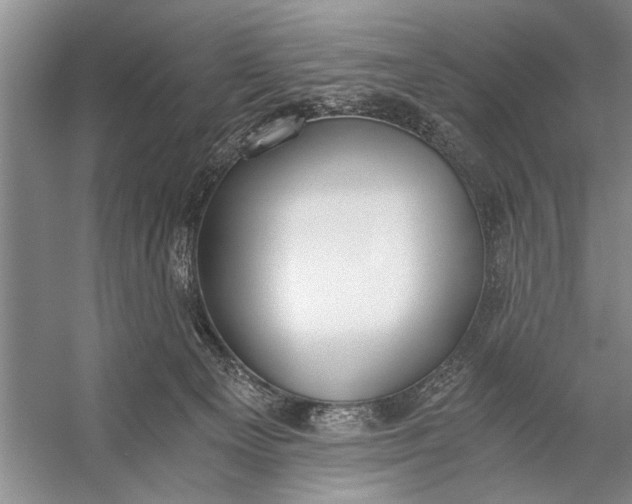 X0000056360129200509161838