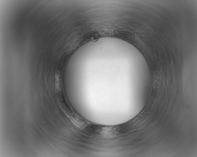 X0000056360130200509161838