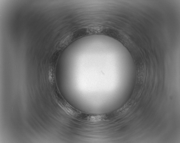 X0000056360134200509161838