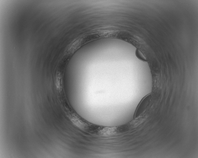 X0000056360138200509161838