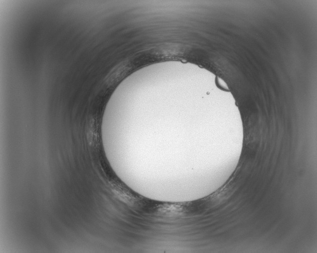 X0000056360140200509161838