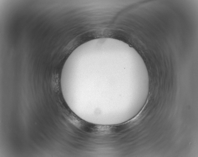 X0000056360144200509161838