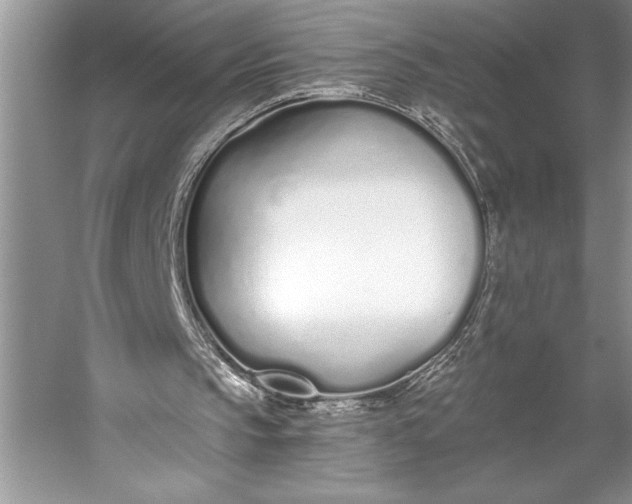 X0000056360145200509161837