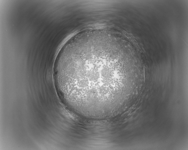 X0000056360147200509161837