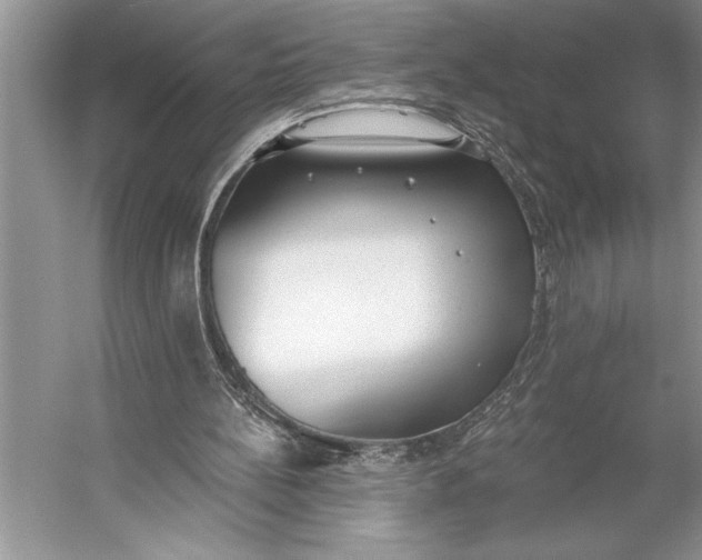 X0000056360148200509161837