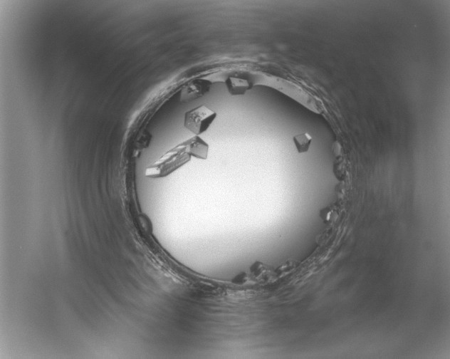 X0000056360149200509161837