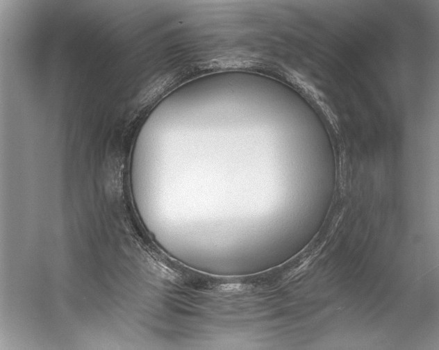 X0000056360153200509161837