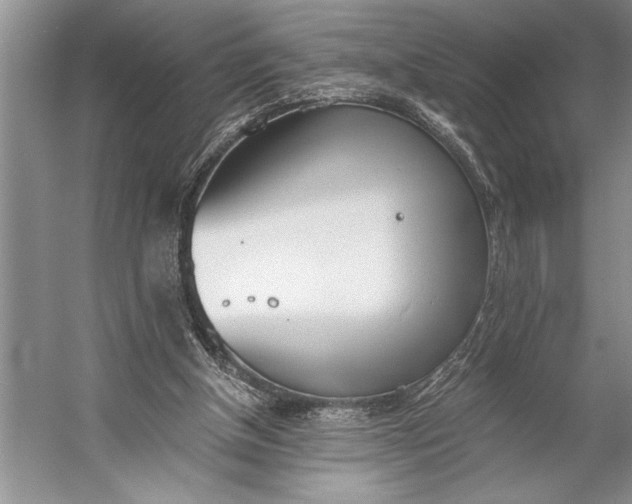 X0000056360154200509161837