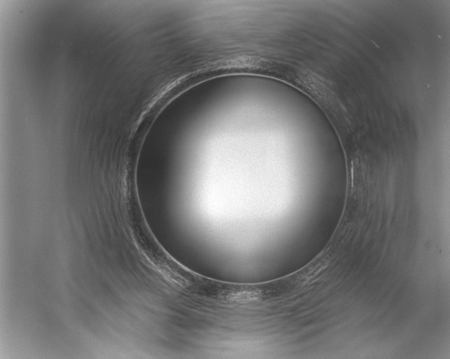 X0000056360156200509161837