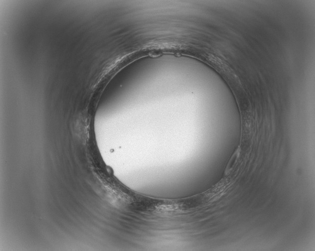 X0000056360160200509161837