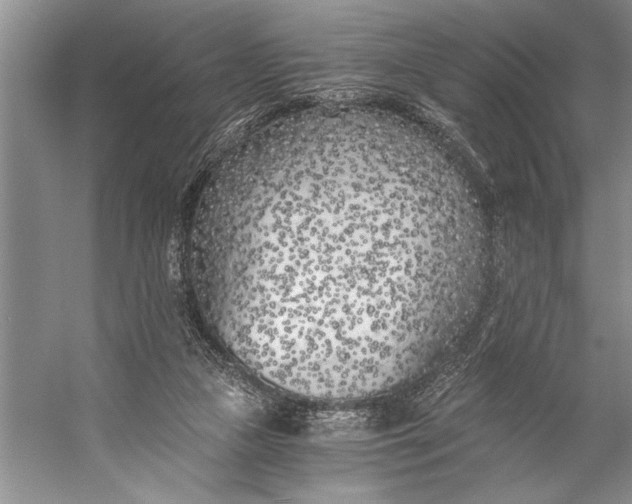 X0000056360161200509161837