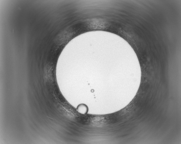 X0000056360162200509161837