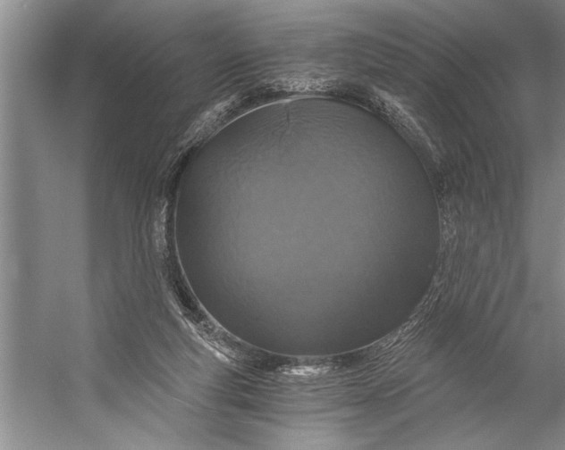 X0000056360163200509161837