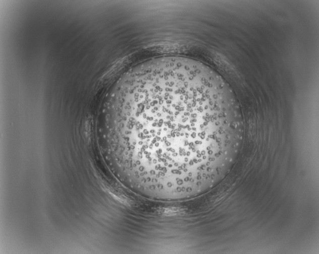 X0000056360165200509161837