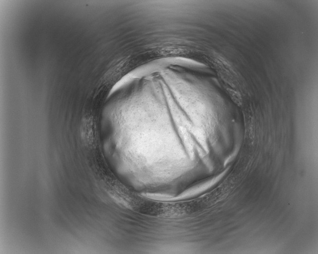 X0000056360169200509161837