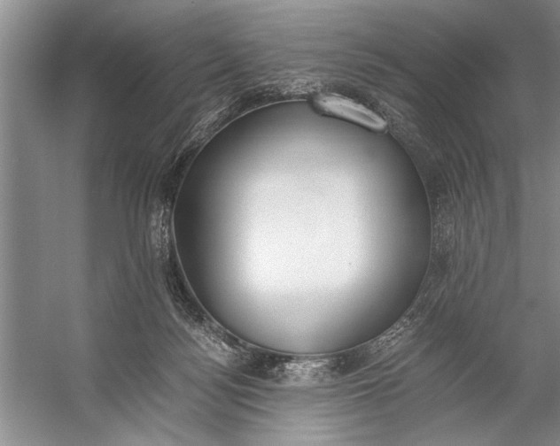 X0000056360172200509161837