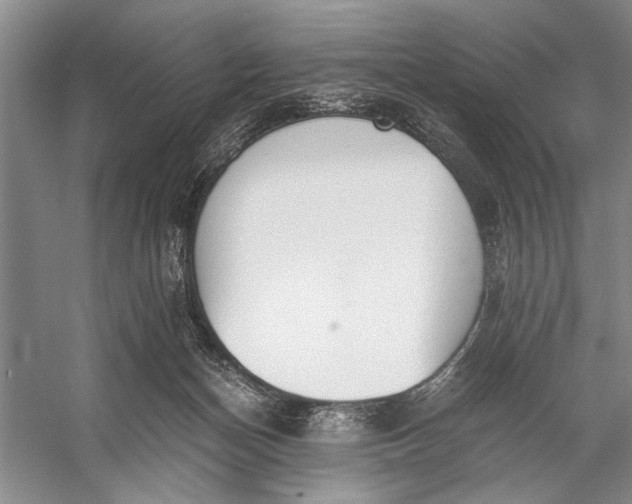 X0000056360174200509161837