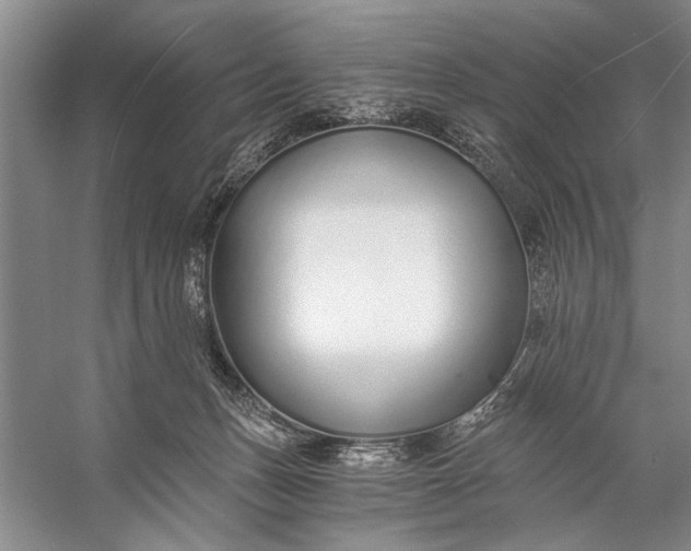 X0000056360175200509161838